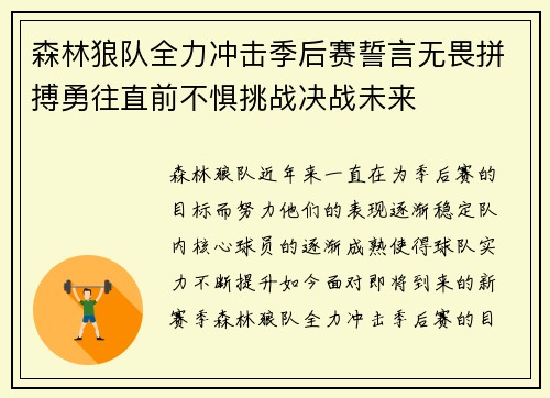 森林狼队全力冲击季后赛誓言无畏拼搏勇往直前不惧挑战决战未来